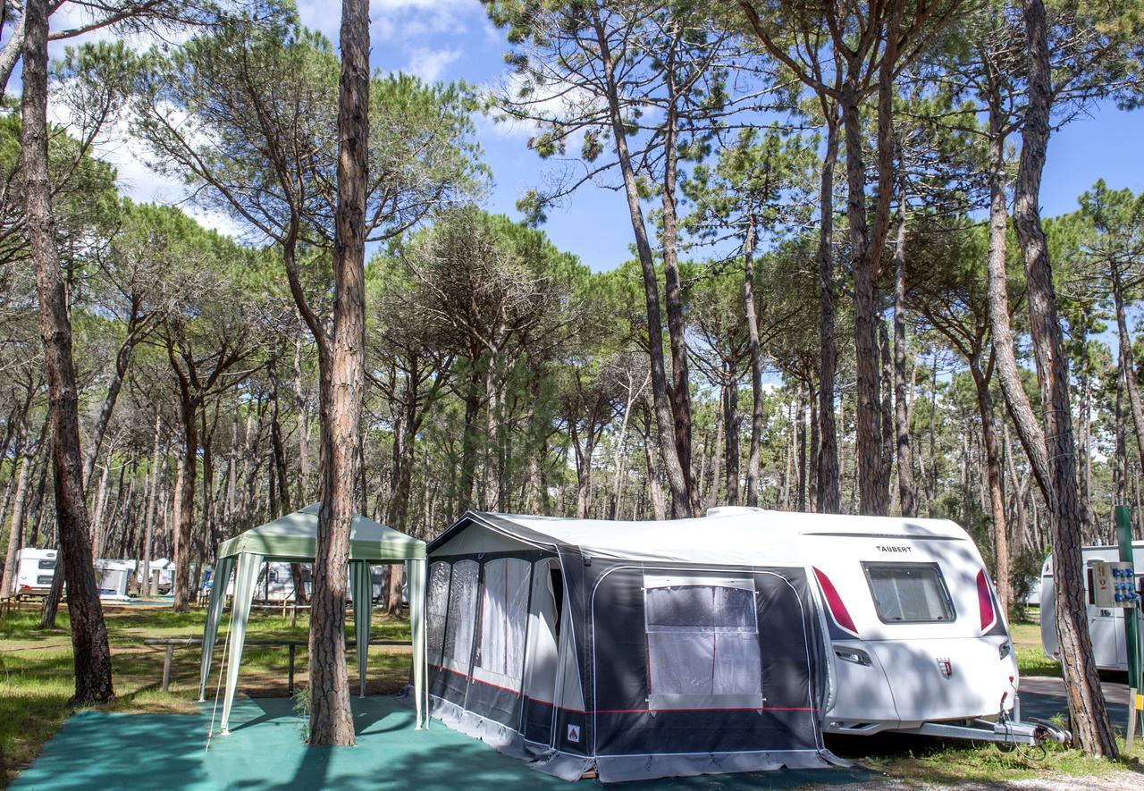 Campeggio Baia Verde Castiglione della Pescaia Exterior foto